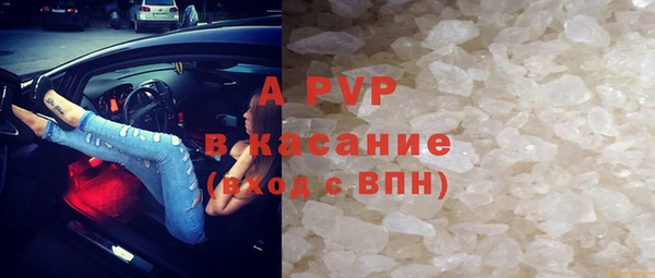 ПСИЛОЦИБИНОВЫЕ ГРИБЫ Абаза