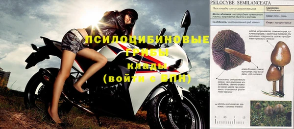 амф Абинск