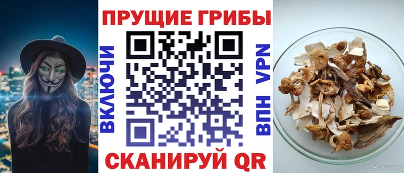 цена   Слюдянка  Псилоцибиновые грибы ЛСД 